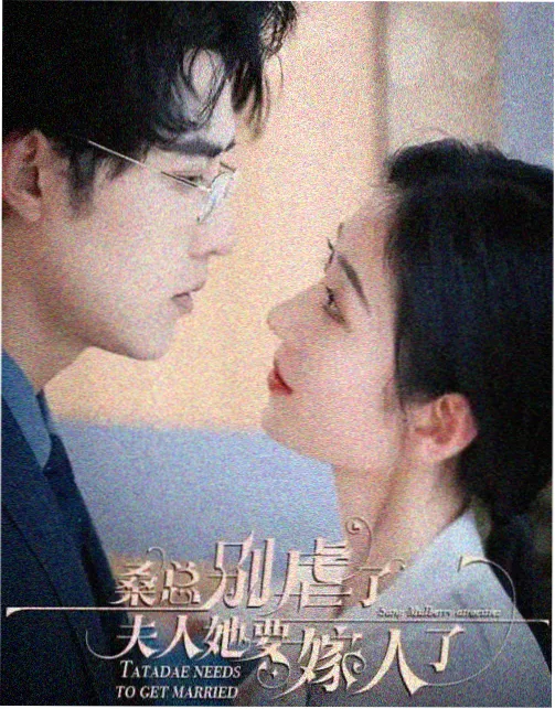 走向共和 剧集封面